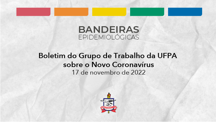 GT da UFPA sobre o Novo Coronavírus avalia o cenário epidemiológico no Pará e mantém recomendações