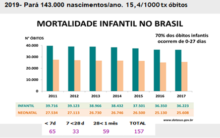 datasus2019